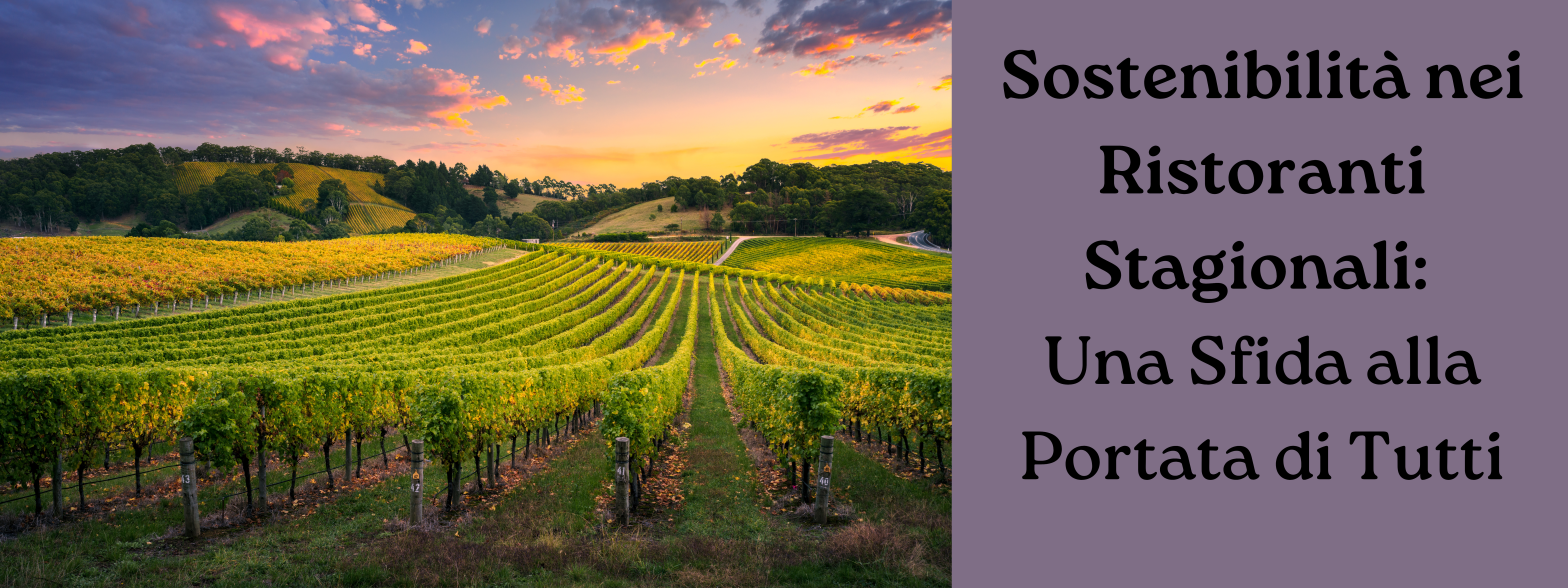 An image of a vineyard at sunset, including the title of the article on the right.